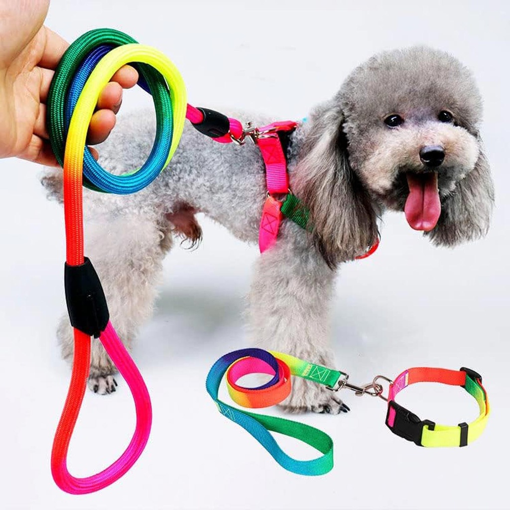 PET-96-97-98-99.jpg