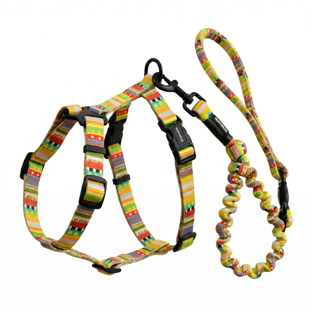DOG-36-1.webp