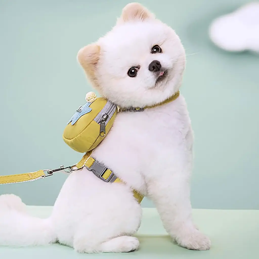 360 PET Dog Harness And Leash Cute Designed Adjust