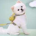 360 PET Dog Harness And Leash Cute Designed Adjust