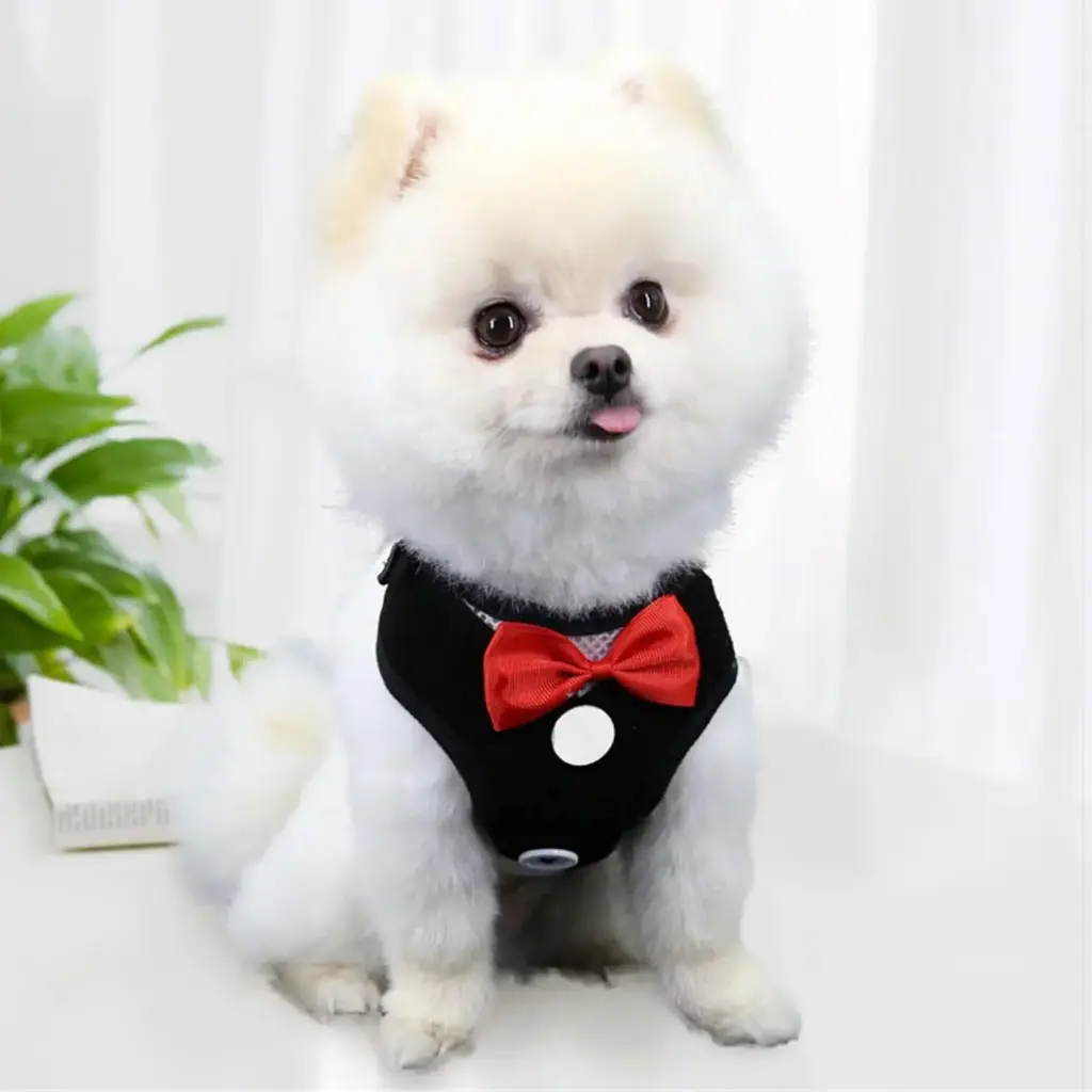 360 PET Dog Harness And Leash Cute Designed Adjust