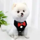 360 PET Dog Harness And Leash Cute Designed Adjust