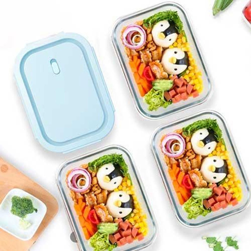 360 HOME GLASS STORAGE BOX 1040ML WITH COVER