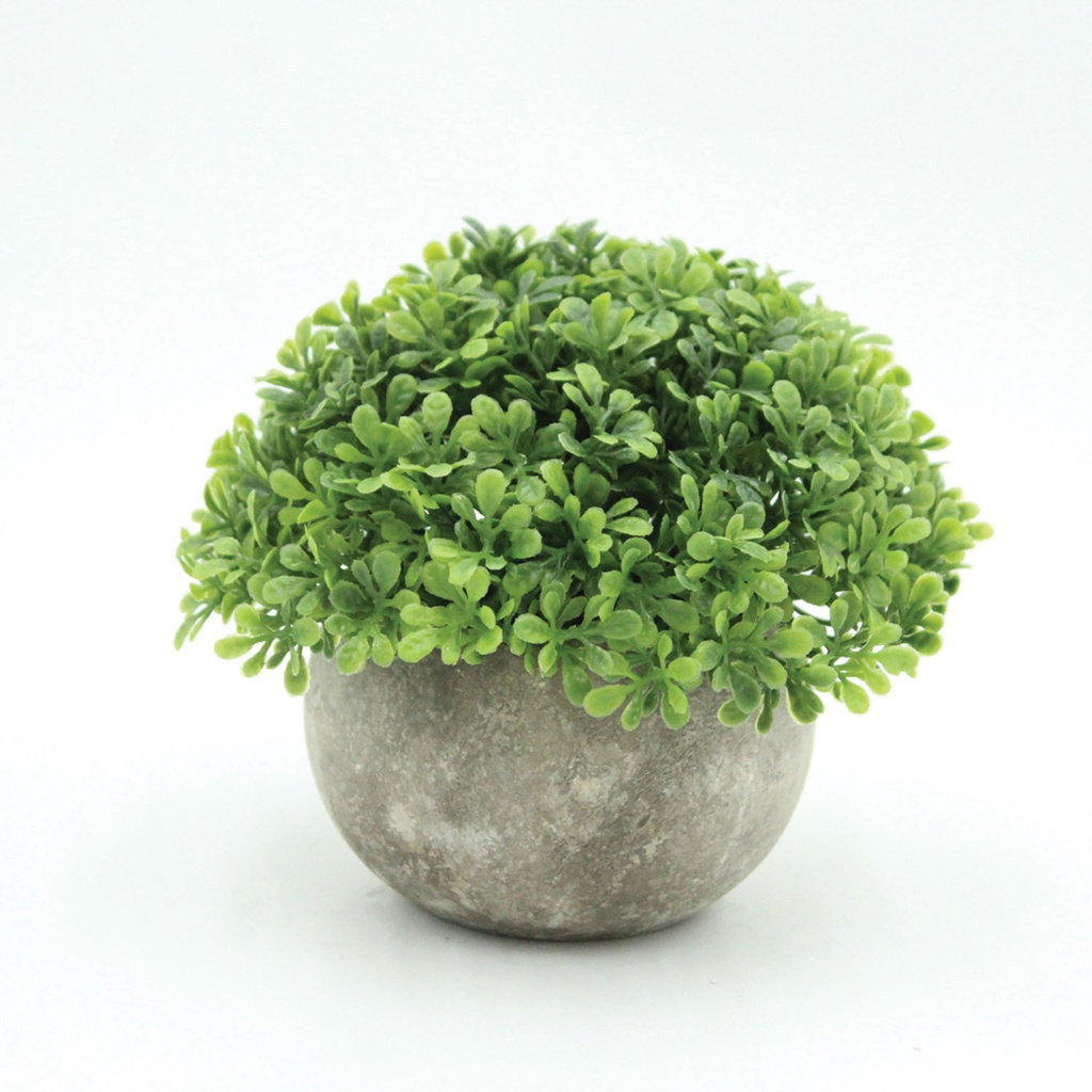 360 HOME ARTIFICIAL POTTED GREEN GRASS  PLANT 7*12