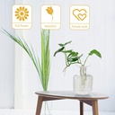 360 HOME VASE GLASS HYDROPONIC 7*10.5CM