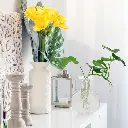 360 HOME VASE GLASS HYDROPONIC 8*10CM ROUND SHAPE