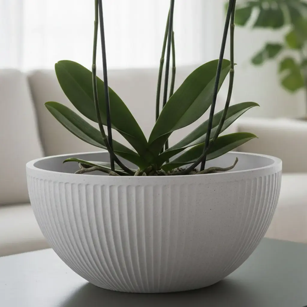 360 HOME POLYPROPYLENE FLOWER POT ROUND 40*19*18.5CM DARK GREY/GREY/BEIGE/OFF-WHITE