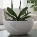 360 HOME POLYPROPYLENE FLOWER POT ROUND 40*19*18.5CM DARK GREY/GREY/BEIGE/OFF-WHITE