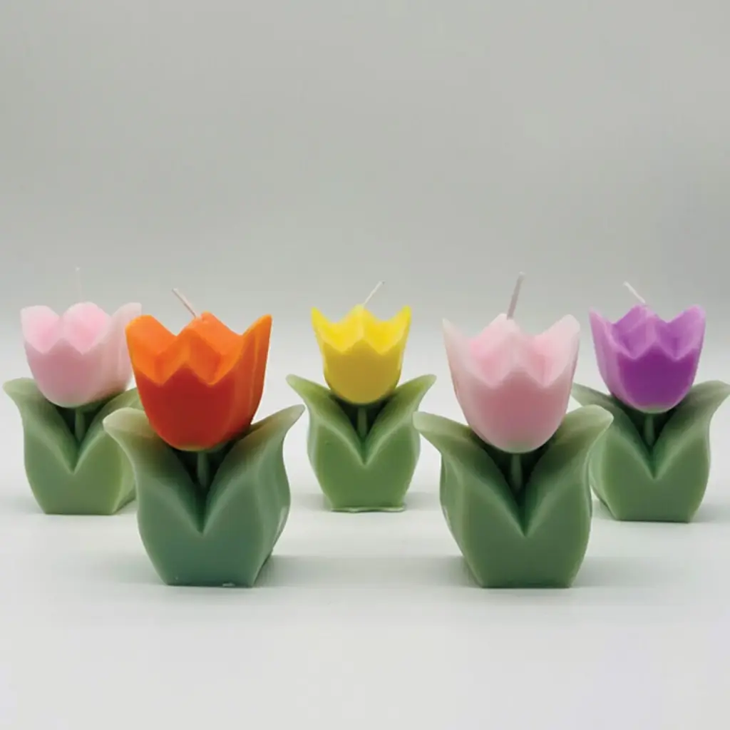 360 HOMEwhite, pink, blue6*3*9