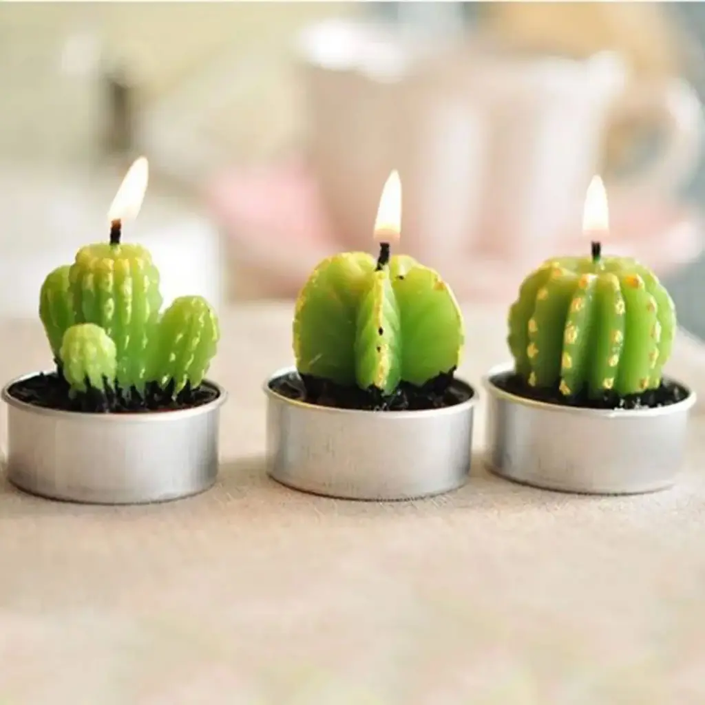 360 HOMESucculent3.8*4