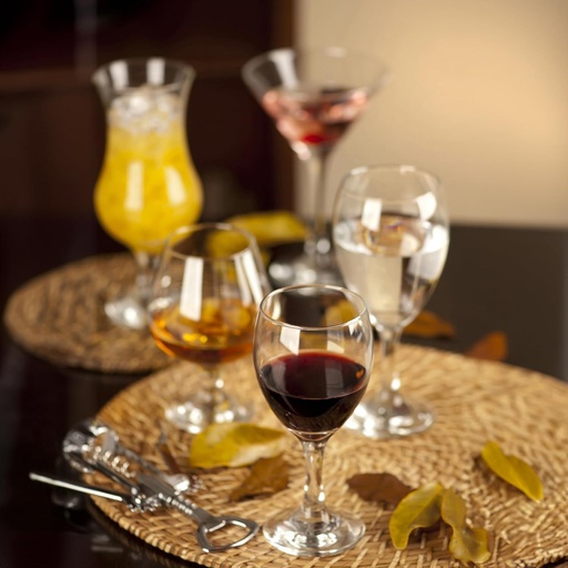 [DIGL35] 360 HOME RED WINE GLASS 250ML JX3065