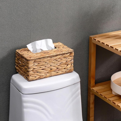 [MT-STMT21] 360 HOME TISSU BOX STRAW 27*16*11