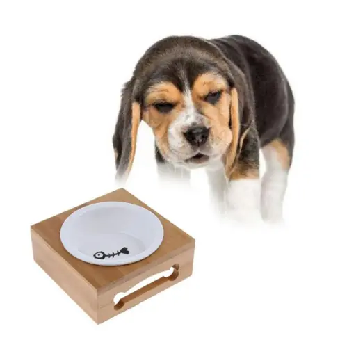 [PET-19] 360 PET Accessories dog bowl 15.5*15.3*5.5cm