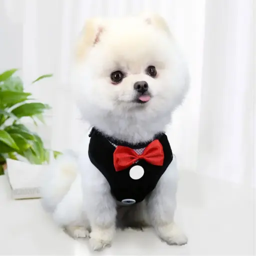 [PET-93] 360 PET Dog Harness And Leash Cute Designed Adjust