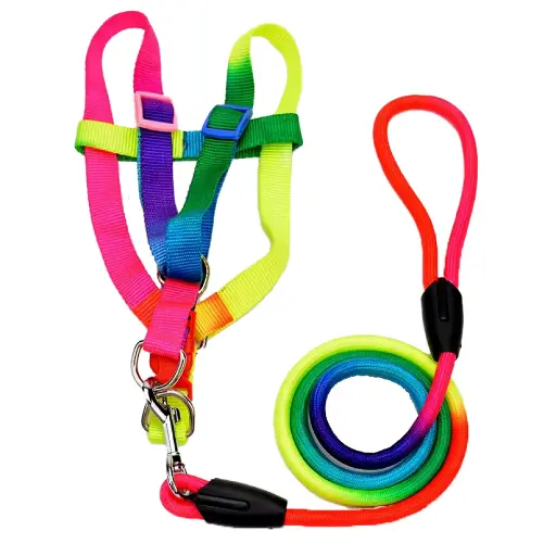 [PET-96] 360 PET Dog Harness And Leash Cute Designed Adjust