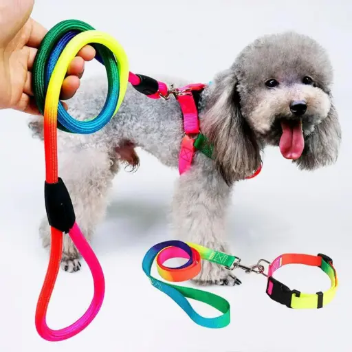 [PET-98] 360 PET Dog Harness And Leash Cute Designed Adjust