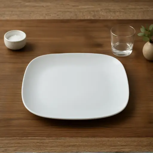 [OPPLA10] 360 HOME  PLATE RECTANGULAR 14"  OPAL GLASS WHITE PLAIN