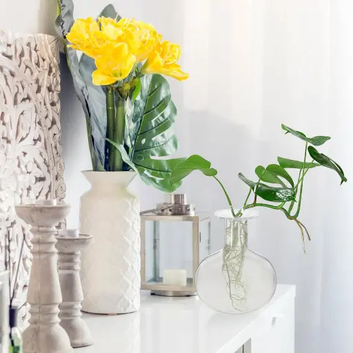 [VASE42-21] 360 HOME VASE GLASS HYDROPONIC 8*10CM ROUND SHAPE