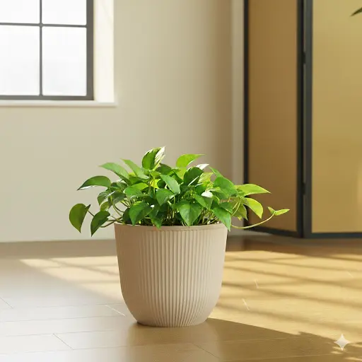 [LX001-2] 360 HOME POLYPROPYLENE FLOWER POT ROUND 35.5*21.5*31CM DARK GREY/GREY/BEIGE/OFF-WHITE