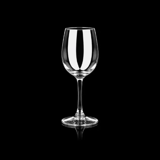 [ACLC-40] 360 HOME POLYCARBONATE WHITE WINE LONG STEM FLAT BASE 6.5*20CM(200ML)