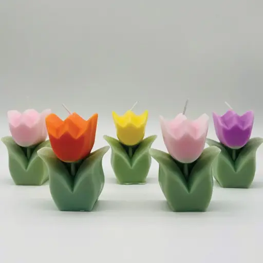 [CANSH17] 360 HOMEwhite, pink, blue6*3*9