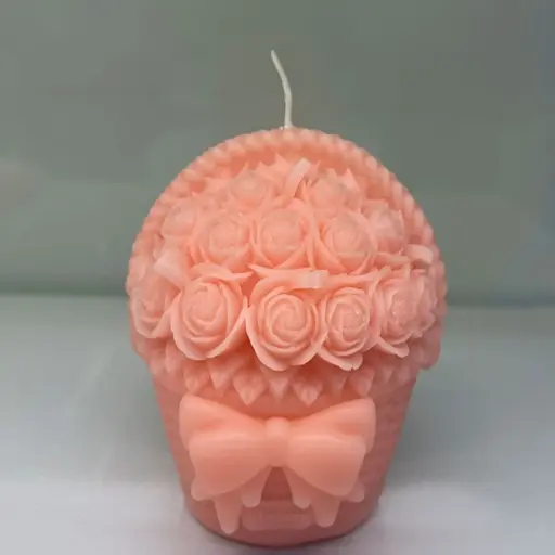 [CANSH40] 360 HOMEwhite, pink, blue10*9